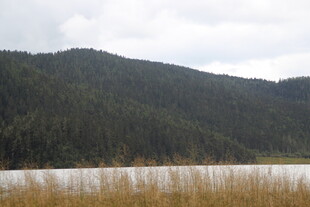 山间湖畔风景