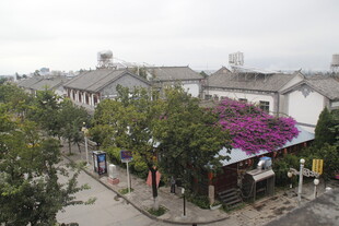 古街风景 绽放的紫色繁花