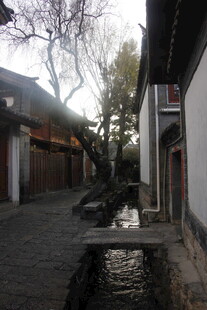 江南水乡古巷静谧景致