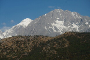 巍峨雪山与葱郁山林景观