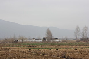 田野乡村远景图