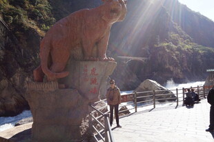 景区石塑虎雕像景观