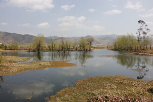 宁静河畔湿地风光