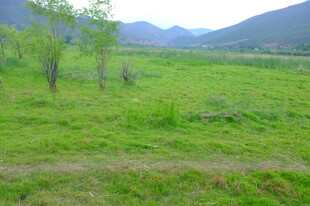 绿野山林间的自然美景