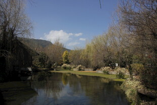 宁静河畔风光