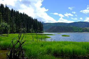 湖畔葱郁山林美景