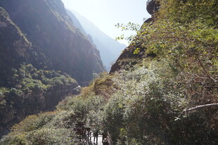 山间葱郁景致