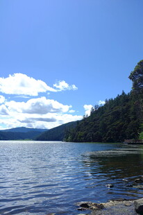 宁静湖畔风景