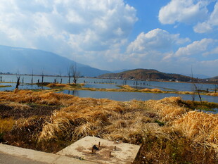 湖畔秋景 枯草远山蓝天