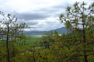 山林远眺风景