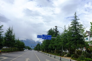 公路旁绿树与蓝色指示牌