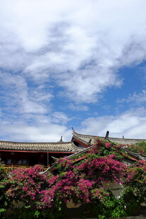 古建旁绽放的艳丽繁花