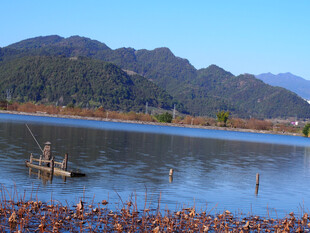 湖畔秋景 远山碧水残荷