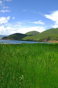 草原湖畔美景