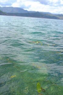 清澈湖水下的自然景观