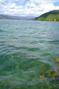 清澈湖水与远处山峦景色