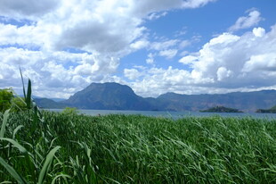 湖畔绿野间的远山美景