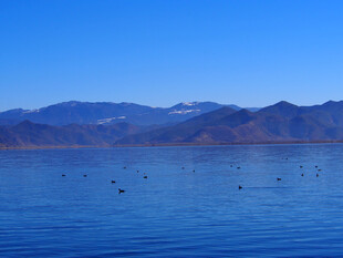 宁静湖景与远处山峦