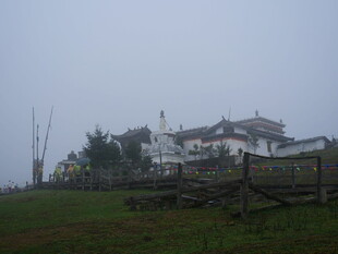雾中乡村景致