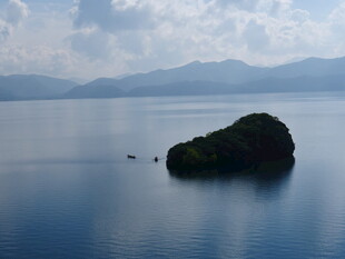 湖中小岛风景如画