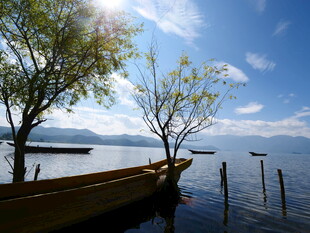 湖畔小船与绿树蓝天美景