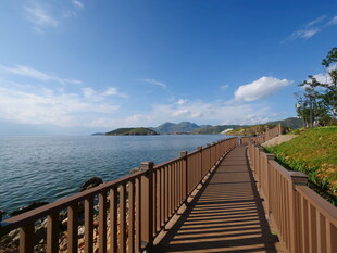 海边木栈道风景