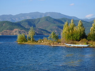 湖畔葱郁小岛与远山美景