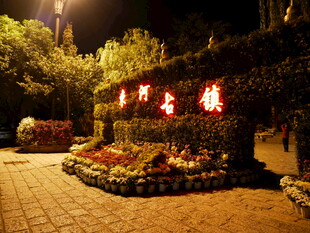 夜晚街边的鲜花绿植景观