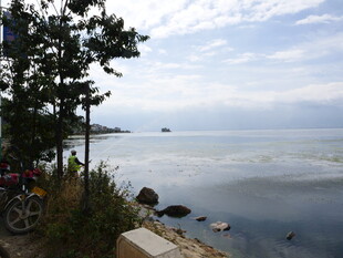 湖畔风景 宁静自然之美