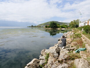 湖畔石岸风景