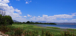 湖畔绿野蓝天美景