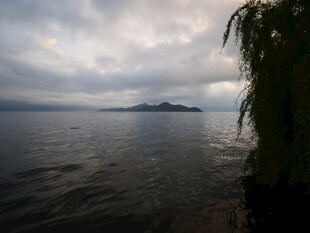 湖畔垂柳 云遮远山景色