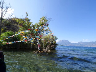 湖畔经幡树 碧水蓝天景