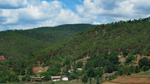 山间村落美景