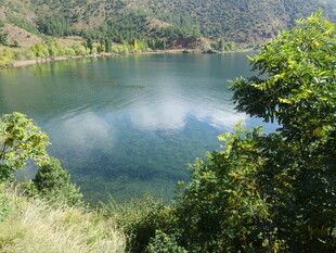 宁静湖畔绿意环绕的美景
