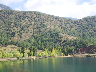 青山绿水间的宁静湖泊