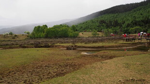 山间农田景色