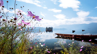 湖畔繁花与远处桥梁美景