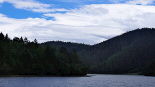 宁静湖畔山林美景