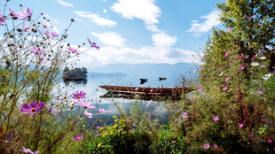 湖畔繁花美景