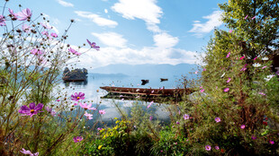 湖畔繁花美景