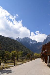 山间小道旁的秀丽风景