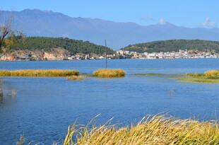 湖畔美景 远山近草映蓝天