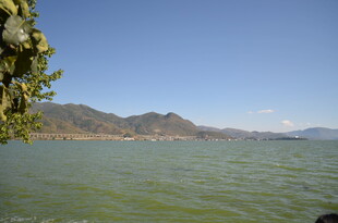 碧波青山的湖景风光