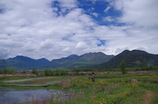 山间湿地美景