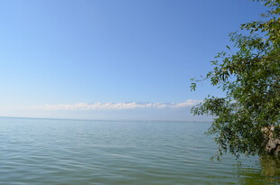 湖畔绿树映碧波美景