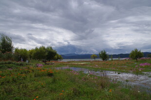 雨后草原风光
