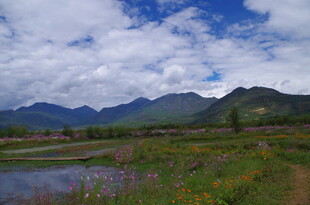 山间湖畔美景