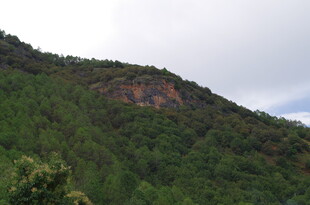 青山绿树间的岩石景观