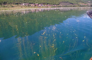 清澈湖水与岸边景致倒影